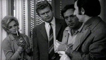 The Murderer is in the House (1971)