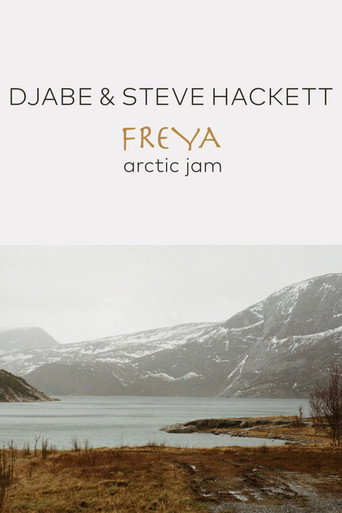 Djabe & Steve Hackett - Freya Arctic Jam poster