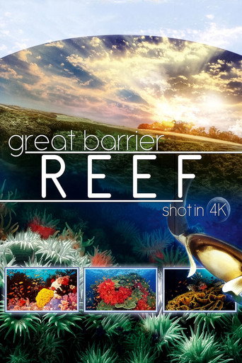 Great Barrier Reef 4K