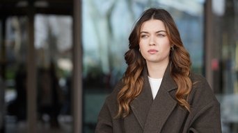Episódio Episódio 20 da série O Canto do Pássaro