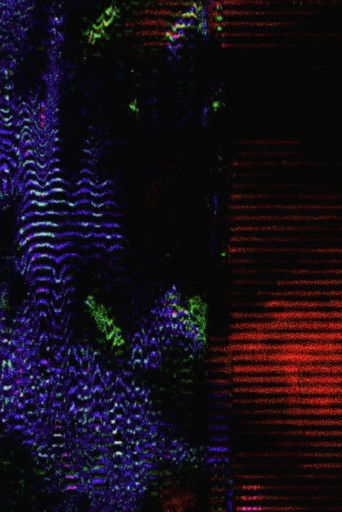 We Are Only Time (2022)