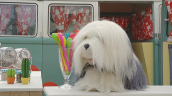 Episode 9 — Episode 9