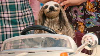 Galeria 3 - Garras voraces