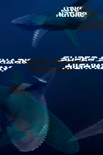 View Poster Image