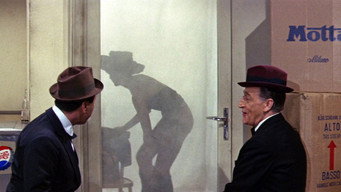 #9 Toto Sexy