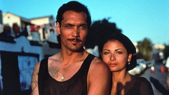 Моя родина (1995)
