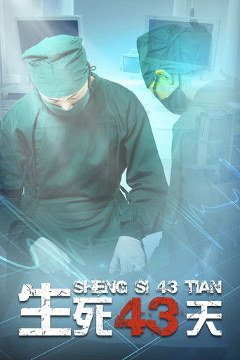 生死43天 poster