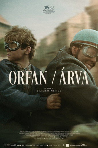 Árva