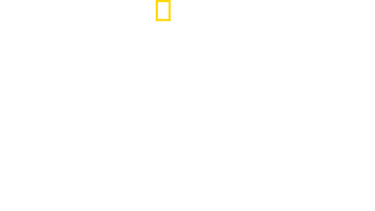 Port Protection Alaska logo
