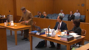 The Trial (2017)