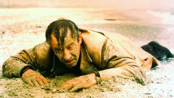 Sand Cliffs (1983)