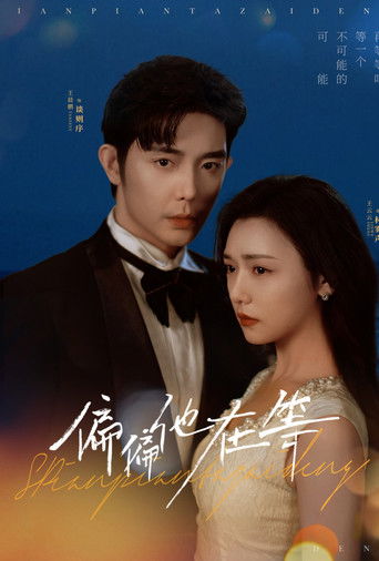 偏偏他在等 poster