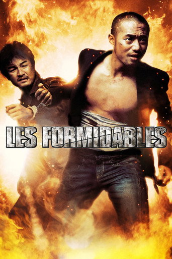 Les Formidables poster
