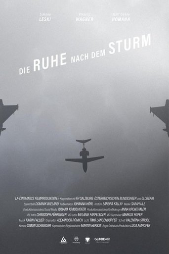 The Calm After the Storm poster
