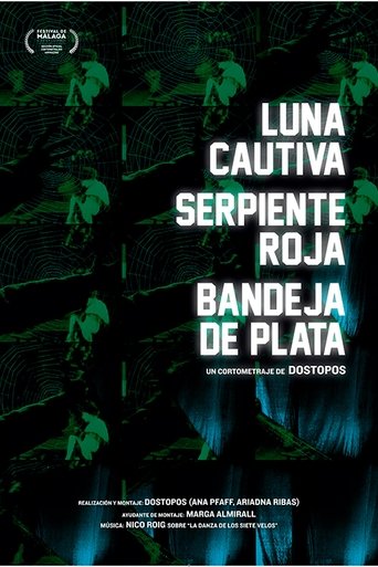 Luna cautiva serpiente roja bandeja de plata Luna cautiva serpiente roja bandeja de plata