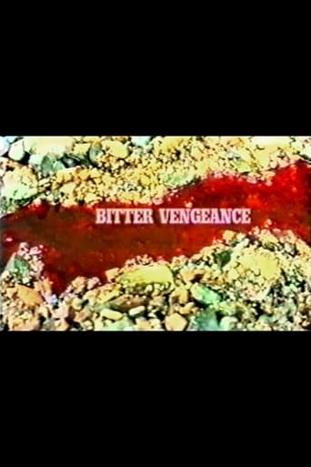 Poster of Bitter Vengeance