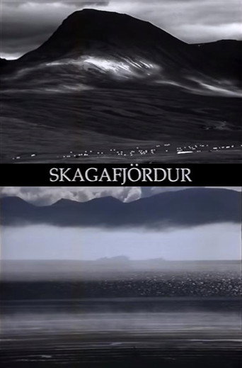 Skagafj&ouml;rdur (2004)