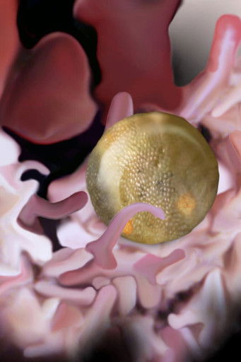 Those Crazy Insides poster