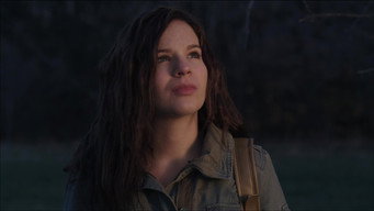 Euphoria (2013)