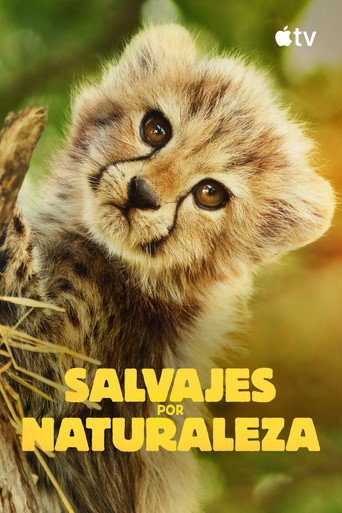Born to Be Wild — Posters 21