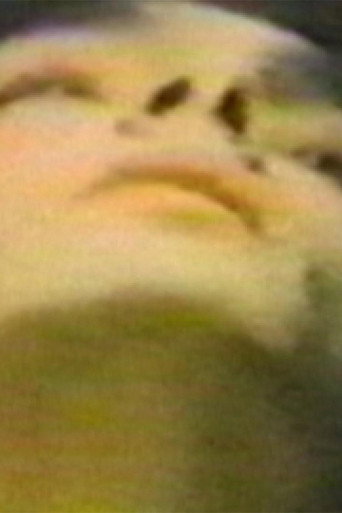 The Hundred Videos #1 (1996)