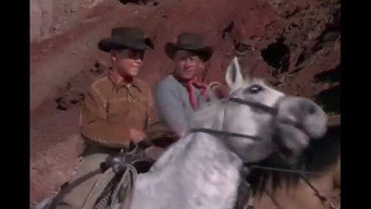#14 Cattle Drive