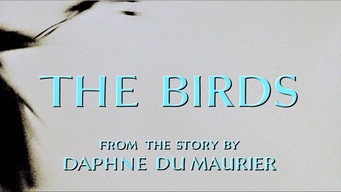 #28 Птахи