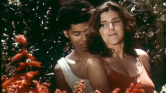 Mecanoscrit del segon origen (1985-1986)