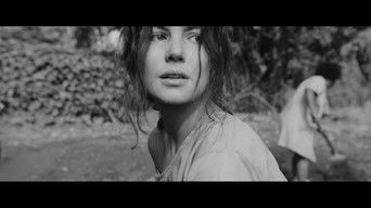 Cena de Samba no Escuro