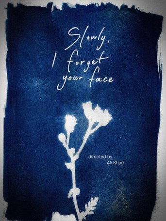 Slowly, I Forget Your Face