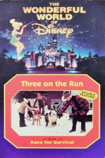 Race for Survival (1978)