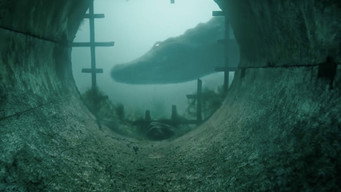 #14 Хижаки