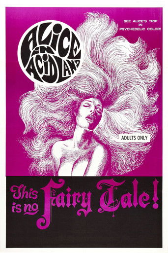 Alice in Acidland poster 4