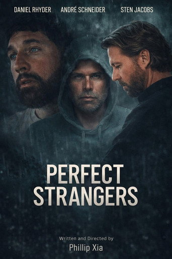 Perfect Strangers poster