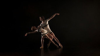 Genesis media image