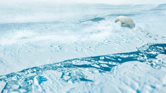 #8 Arctic from Above