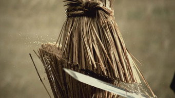 Love or Duty: Samurai Rebellion (2013)