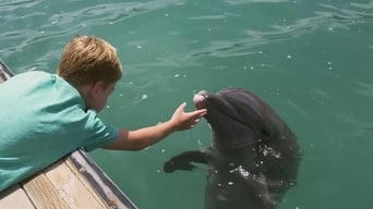#6 Мій друг дельфін Ехо
