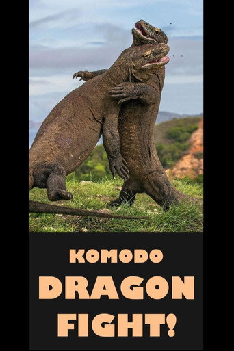 Komodo Dragon Fight! (2017)
