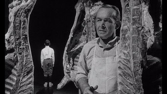 #6 Ті, що не схилили голови