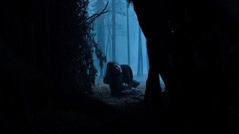 Succubus media image