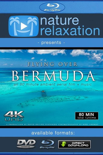Flying over Bermuda poster