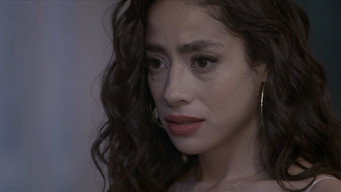 Episode 20 — Episode 20