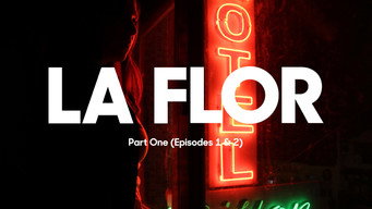 #20 La Flor