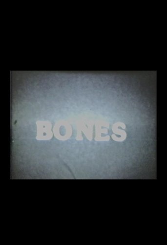 Blood Bones and Spirits poster