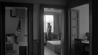#13 The Cloud in Her Room