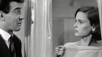 Era lei che lo voleva! (1953)