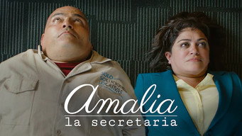 Galeria 2 - Amalia, la secretaria