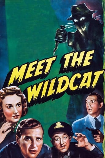 Poster för Meet the Wildcat