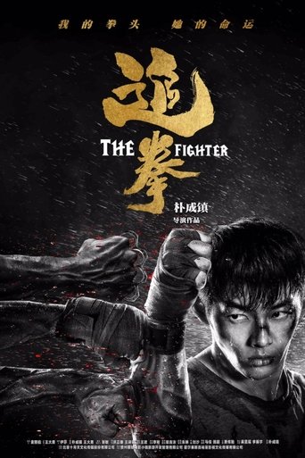 The Fighter (2019)